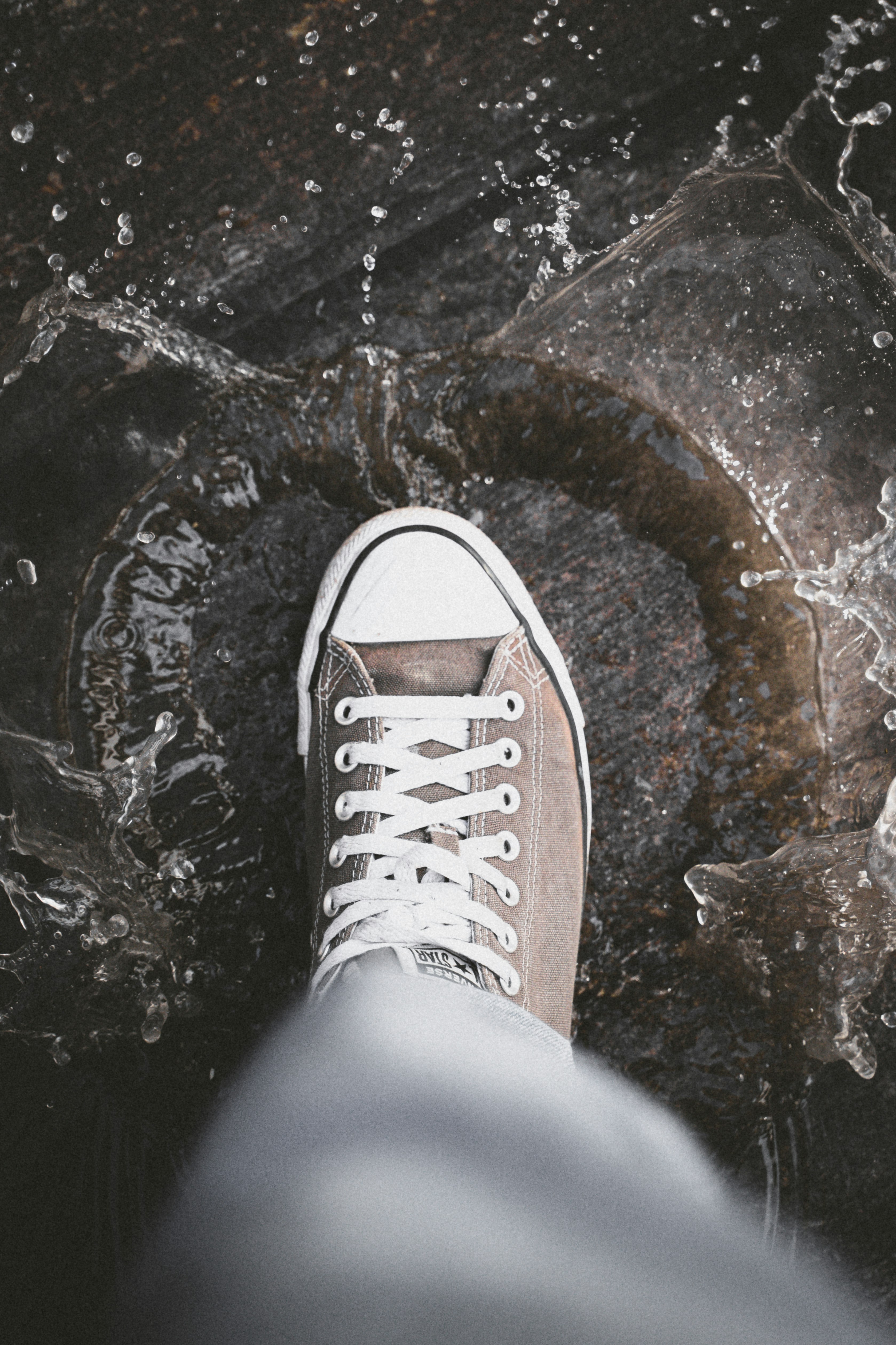 person wearing black and white converse all star high top sneaker